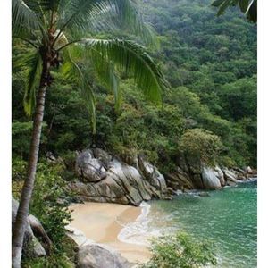 Meet your Posher, Angelina